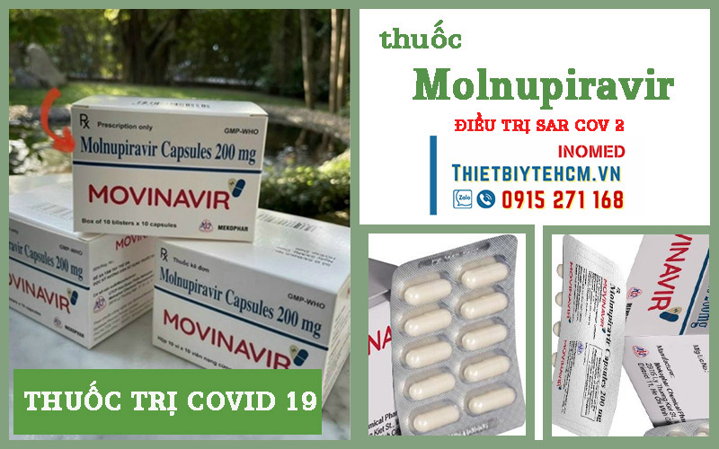 Mua thuốc Molnupiravir 200mg ở đâu
thuốc molnupiravir 200mg liều dùng